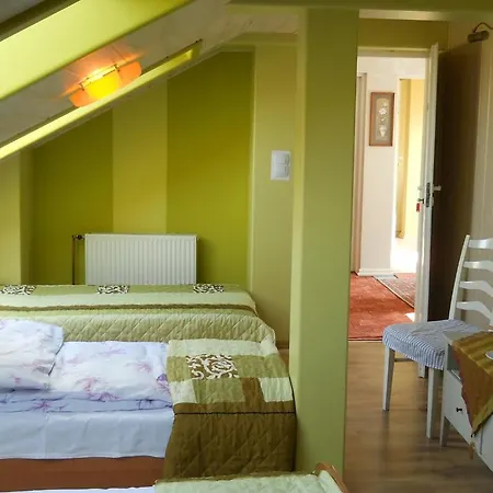 Pensjonat Nocleg Basniowy